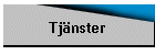 Tjnster